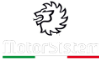 Logo motorsistem Azienda Chimica Italiana